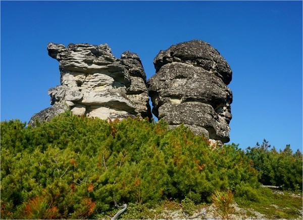 Три братца